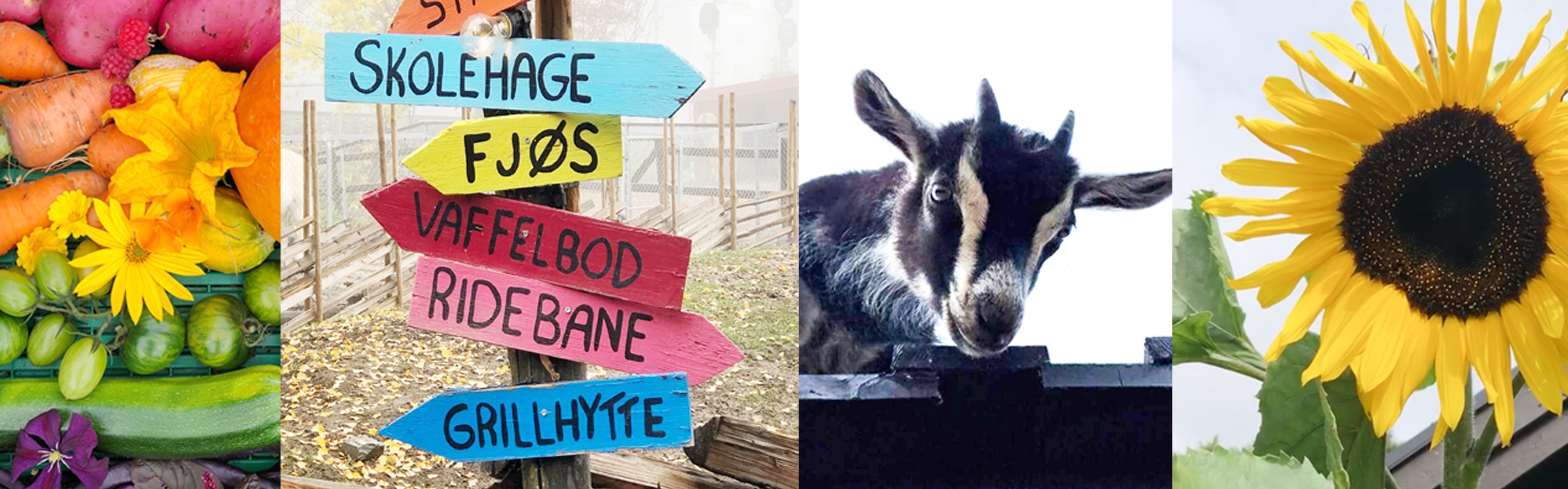 Kampen Økologiske Barnebondegård